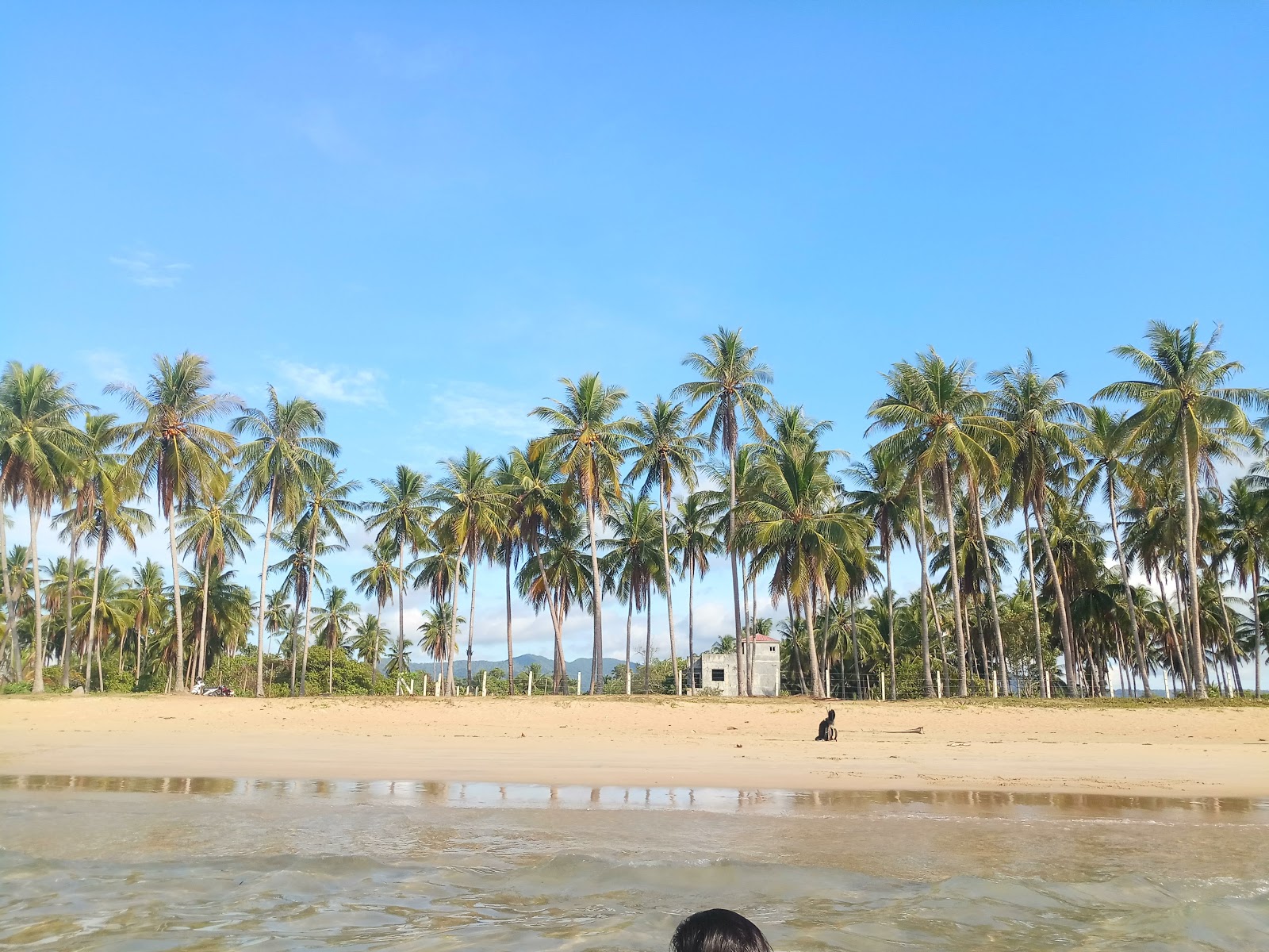 Foto de Praia Long - lugar popular entre os apreciadores de relaxamento