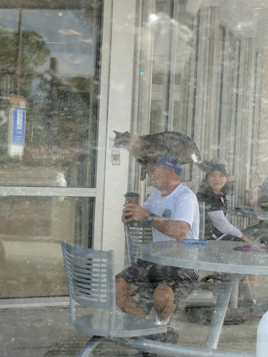 Sandwich Shop «Wawa», reviews and photos, 1740 Dunlawton Ave, Port Orange, FL 32127, USA