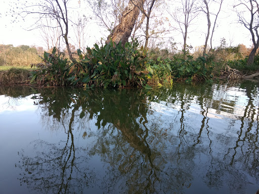 Park «Lakewood Park», reviews and photos, 7143 Williamson Rd, Dallas, TX 75214, USA