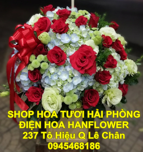 Shop hoa tươi Hải Phòng - Điện hoa HanfLower