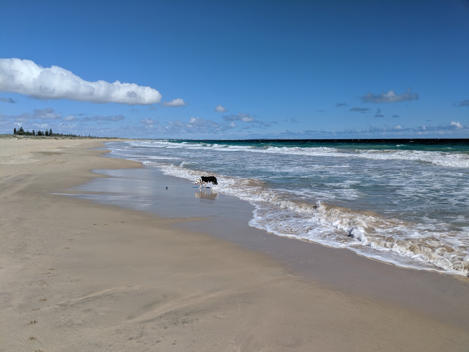 Fotografija Singleton Beach z svetel pesek površino