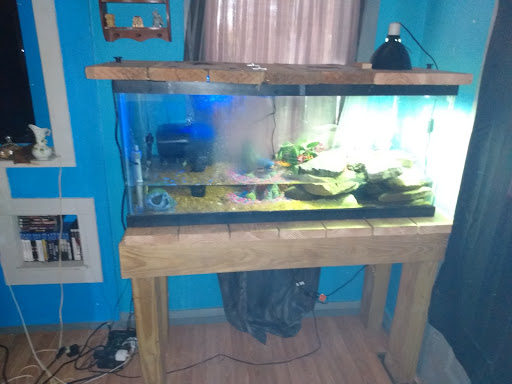 Pet Store «Petfection Exotic Pet Specialist», reviews and photos, 2989 PA-611 Suite 102, Tannersville, PA 18372, USA