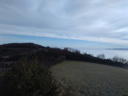 Agence immobilière Vivre-en-Beaujolais Theizé