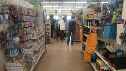 Dollar Store «Dollar Tree», reviews and photos, 1825 Salvio St, Concord, CA 94520, USA