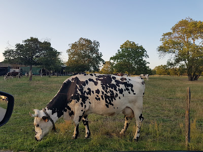 Ferme biologique de l'Ill à Sausheim