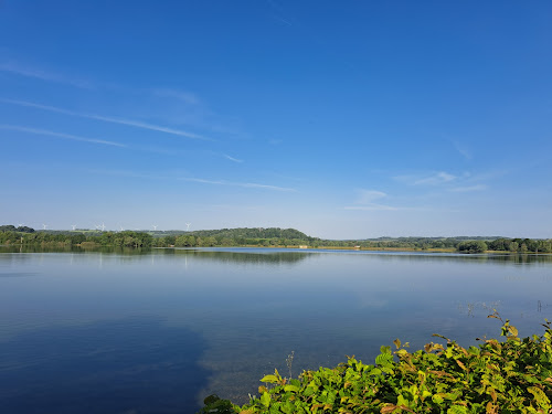 Lac de la vingeanne à Longeau-Percey