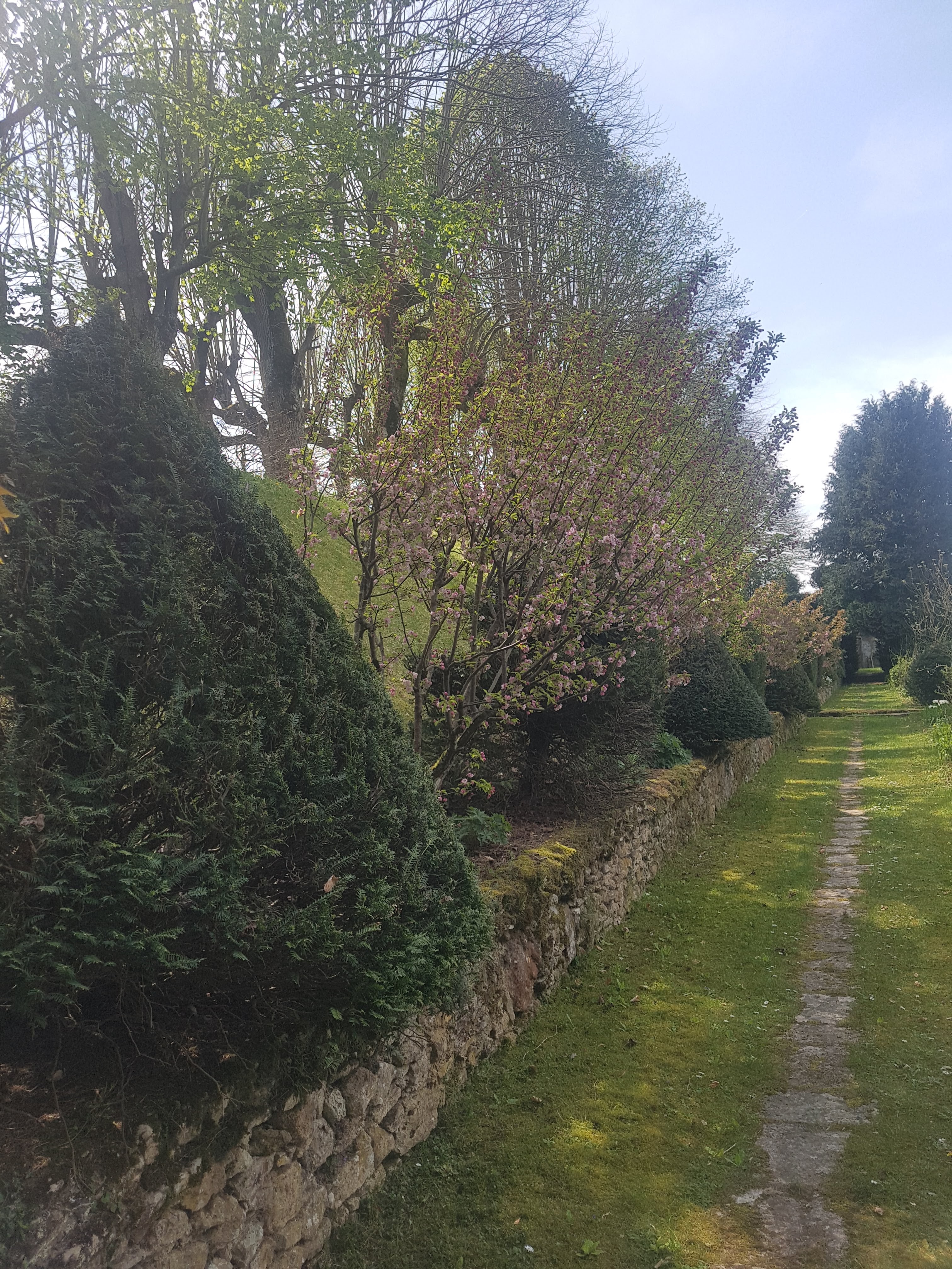 Photo n° 41 de l'avis de Isabelle.e fait le 21/04/2019 à 18:53