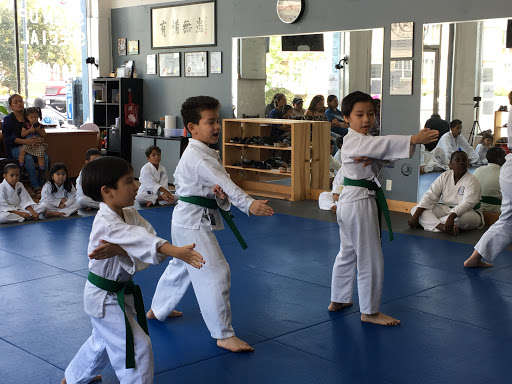 Knowles Karate Academy