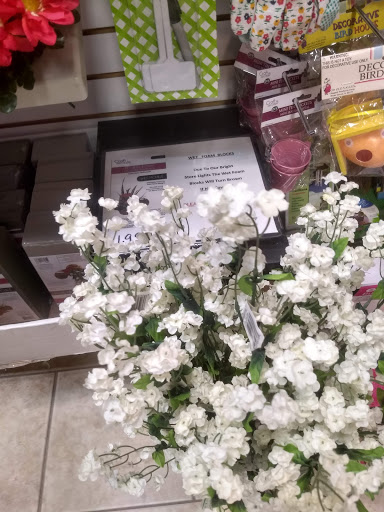 Variety Store «Dollar Discount», reviews and photos, 1825 S Cedar St, Imlay City, MI 48444, USA