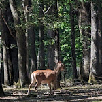 Photo n° 6 de l'avis de Philippe.o fait le 23/07/2023 à 21:15 pour Espace Rambouillet à Sonchamp