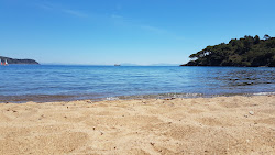 Spiaggia di Naregno'in fotoğrafı ve güzel manzarası