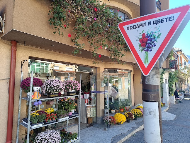 Бутик за цветя "Мери-Ив" - Смолян