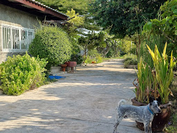 Connex Garden Saraburi