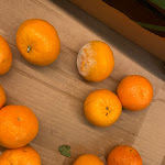 Photo n° 3 de l'avis de Je.suis.personne.D fait le 25/03/2023 à 19:02 pour Lidl à Bagnols-sur-Cèze