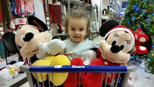 Craft Store «Michaels», reviews and photos, 9835 E Washington St, Indianapolis, IN 46229, USA