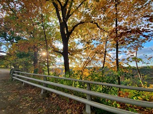 Devils Hole State Park - photo 17