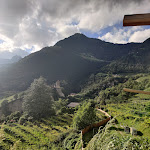 Photo n°5 de l'avis de Claudia.a fait le 07/08/2023 à 19:30 sur le  Hotel per Cani Mair am Ort à Tirol