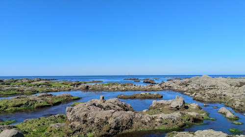 Les Sables-d'Olonne beach II photo #1