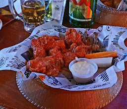 Wild Rooster Chihuahua photo