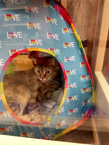 Pet Supply Store «PetSmart», reviews and photos, 2391 NJ-66, Ocean Township, NJ 07712, USA