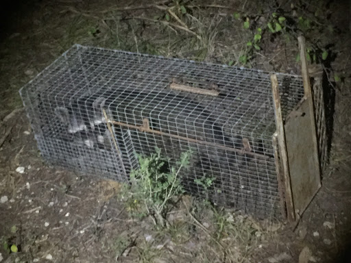 Nature Preserve «Warbler Woods», reviews and photos, 19349 Old Wiederstein Rd, Cibolo, TX 78108, USA