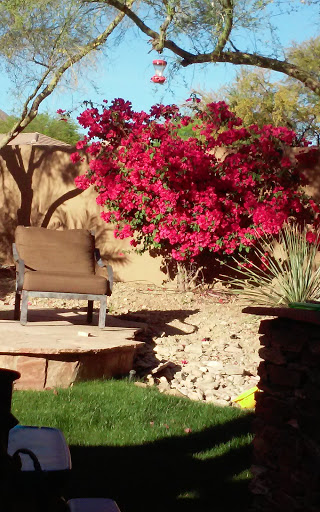 Country Club «Ancala Country Club», reviews and photos, 11700 E Vía Linda, Scottsdale, AZ 85259, USA