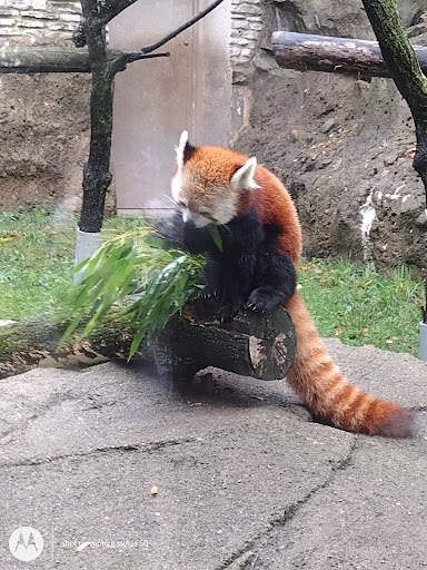 Park «Delaware Park», reviews and photos, Meadow Dr, Buffalo, NY 14214, USA