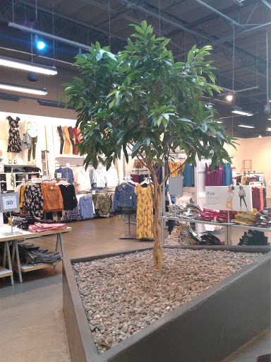 Clothing Store «Old Navy», reviews and photos, 1985 W Craig Rd, North Las Vegas, NV 89032, USA