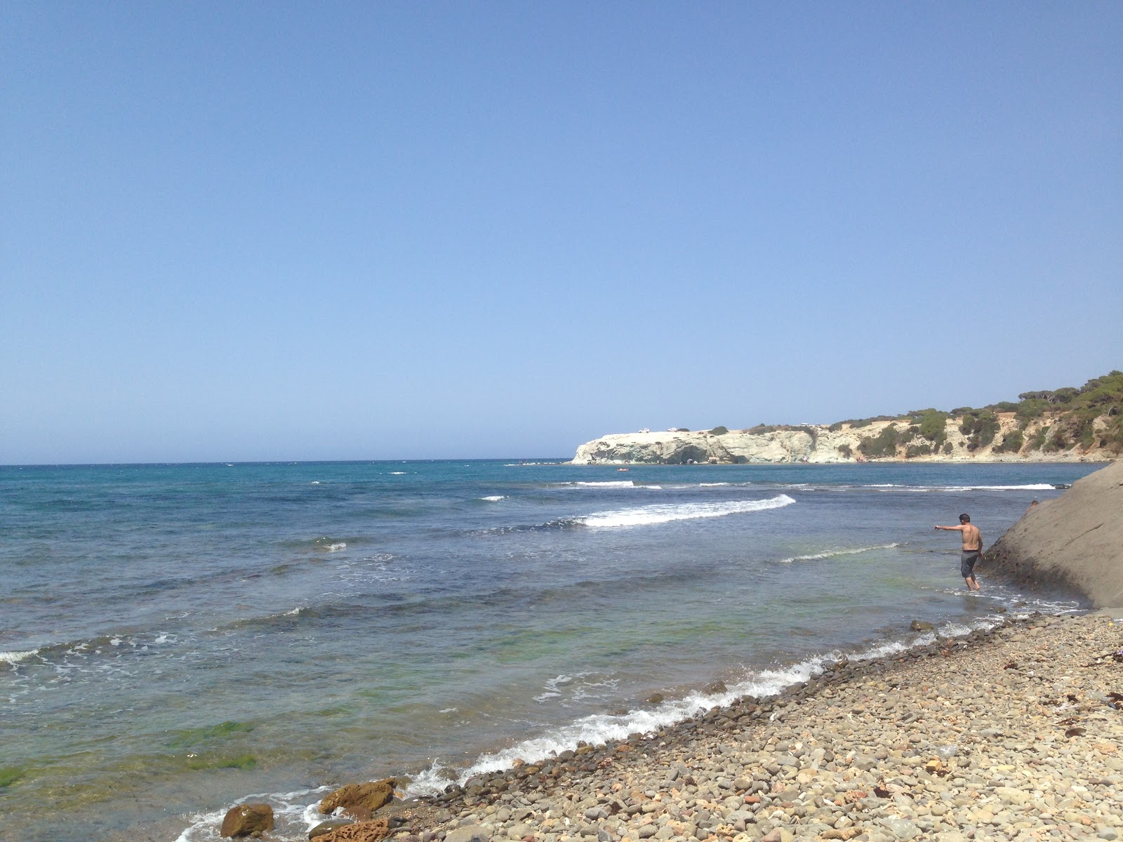 Foto av El Hamdania Beach vildmarksområde
