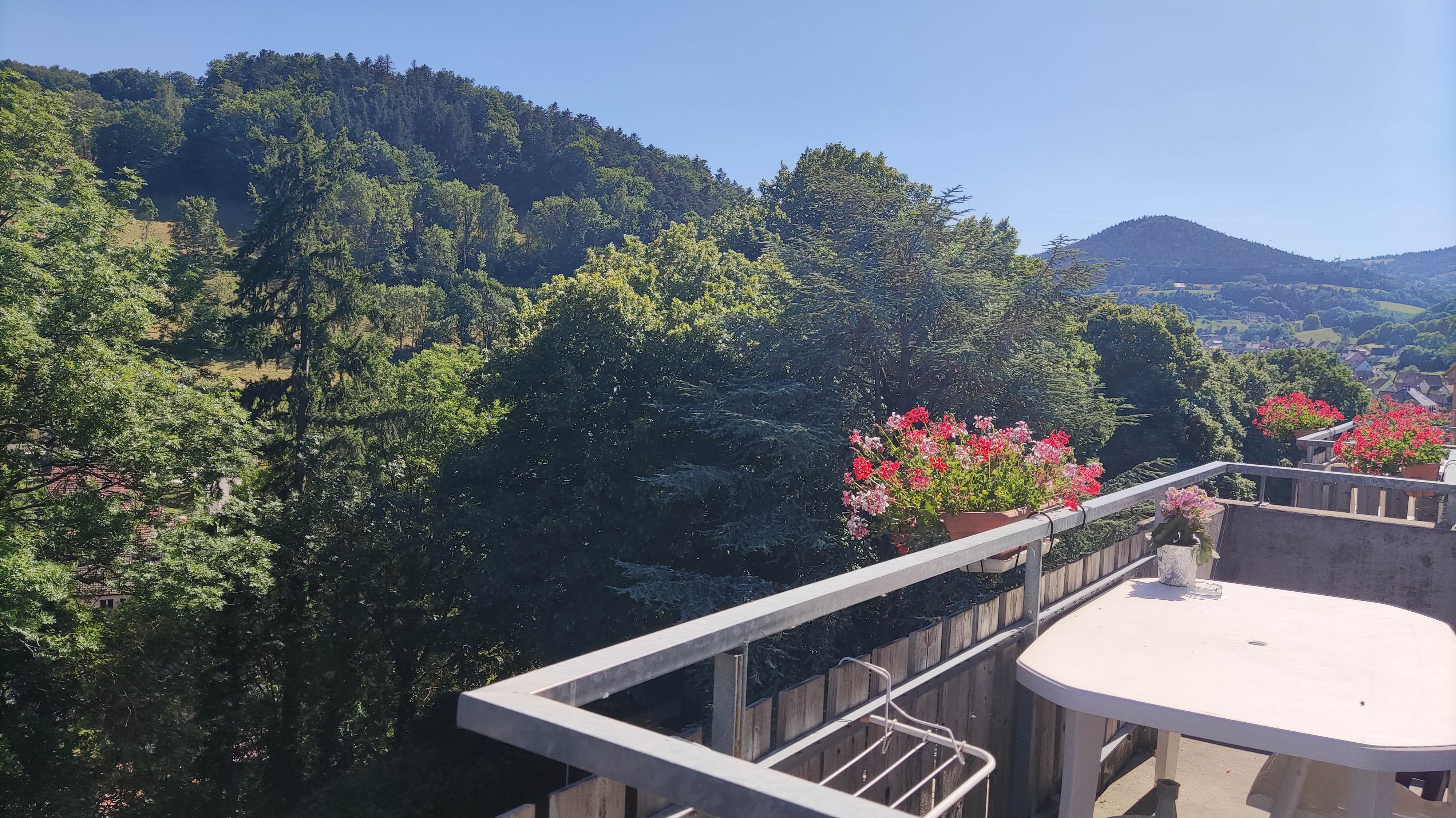 Photo n° 2 de l'avis de Caroline.n fait le 18/07/2022 à 19:53