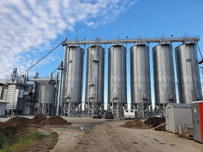 Valoryz Production Kft