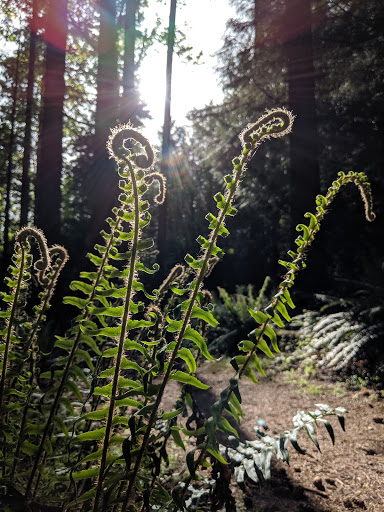 Park «Viewpoint Park», reviews and photos, 134th & NE 24th Street, Bellevue, WA 98005, USA