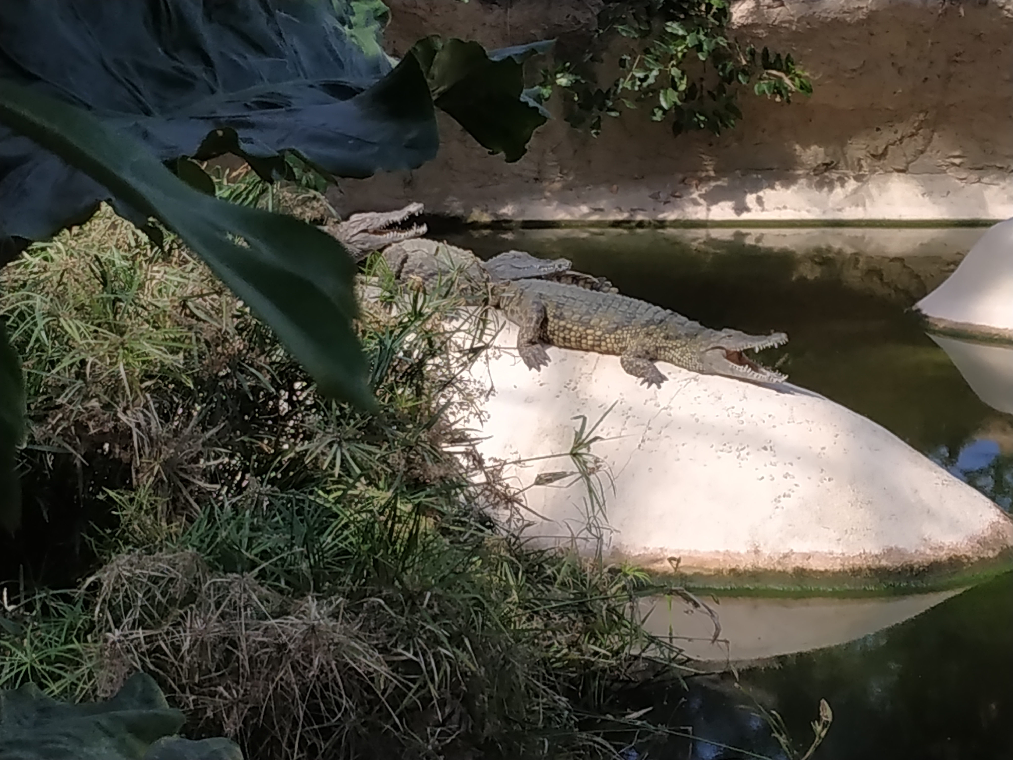 Photo n° 2 de l'avis de Nounouille.e fait le 23/08/2019 à 19:33