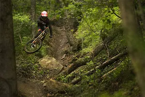 Windrock Bike Park image