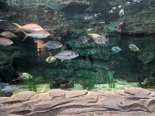 Sporting Goods Store «Bass Pro Shops», reviews and photos, 2250 SW Gatlin Blvd, Port St Lucie, FL 34953, USA