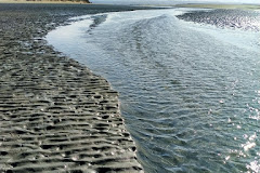 Tahunanui Beach Reserve