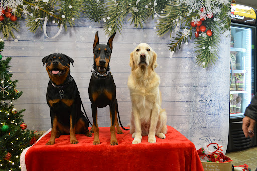 Pet Supply Store «The Natural Pet Enrichment Center», reviews and photos, 6720 Royalton Rd, North Royalton, OH 44133, USA