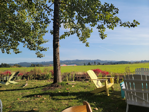 Vineyard «Keeler Estate Vineyard», reviews and photos, 5100 SE Rice Ln, Amity, OR 97101, USA