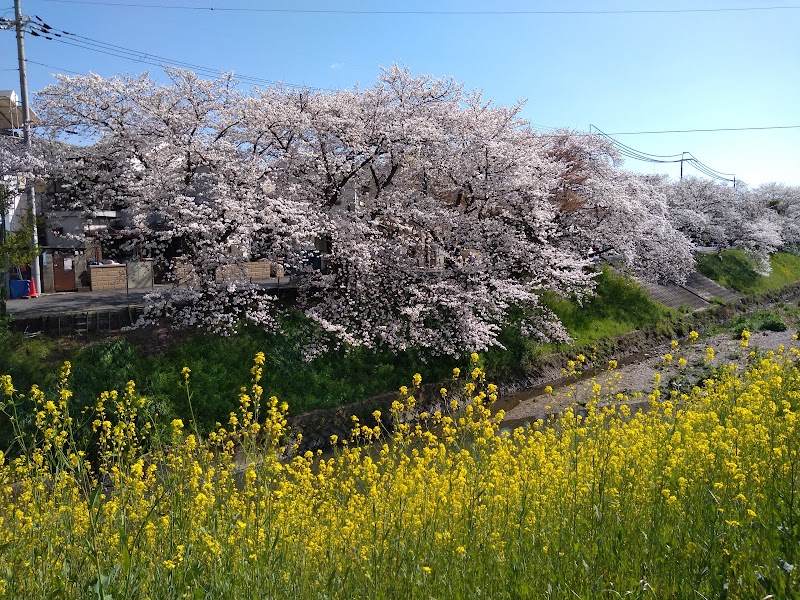 恋の窪三丁目南街区公園