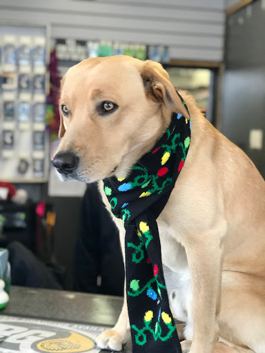 Auto Repair Shop «Sunny Sunoco», reviews and photos, 7701 Ventnor Ave, Margate City, NJ 08402, USA