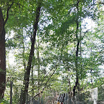 Photo n°1 de l'avis de Miluta.a fait le 21/08/2022 à 19:21 sur le  Osteria Ai Pioppi à Nervesa della Battaglia