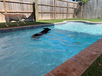 Pensacola Pet Resort - Photo 4 - Car repair in Pensacola, FL, Pensacola