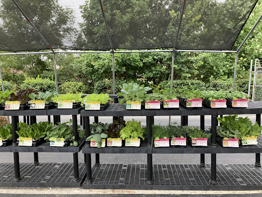 Hardware Store «Waxhaw Ace Hardware», reviews and photos, 3927 Providence Rd S, Waxhaw, NC 28173, USA