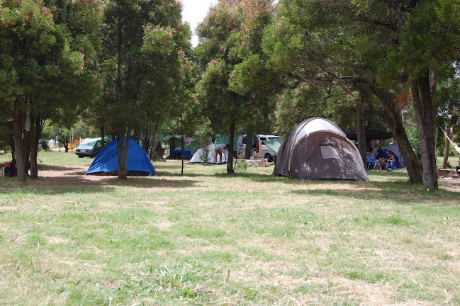 Comentarios y opiniones de Camping Las Acacias