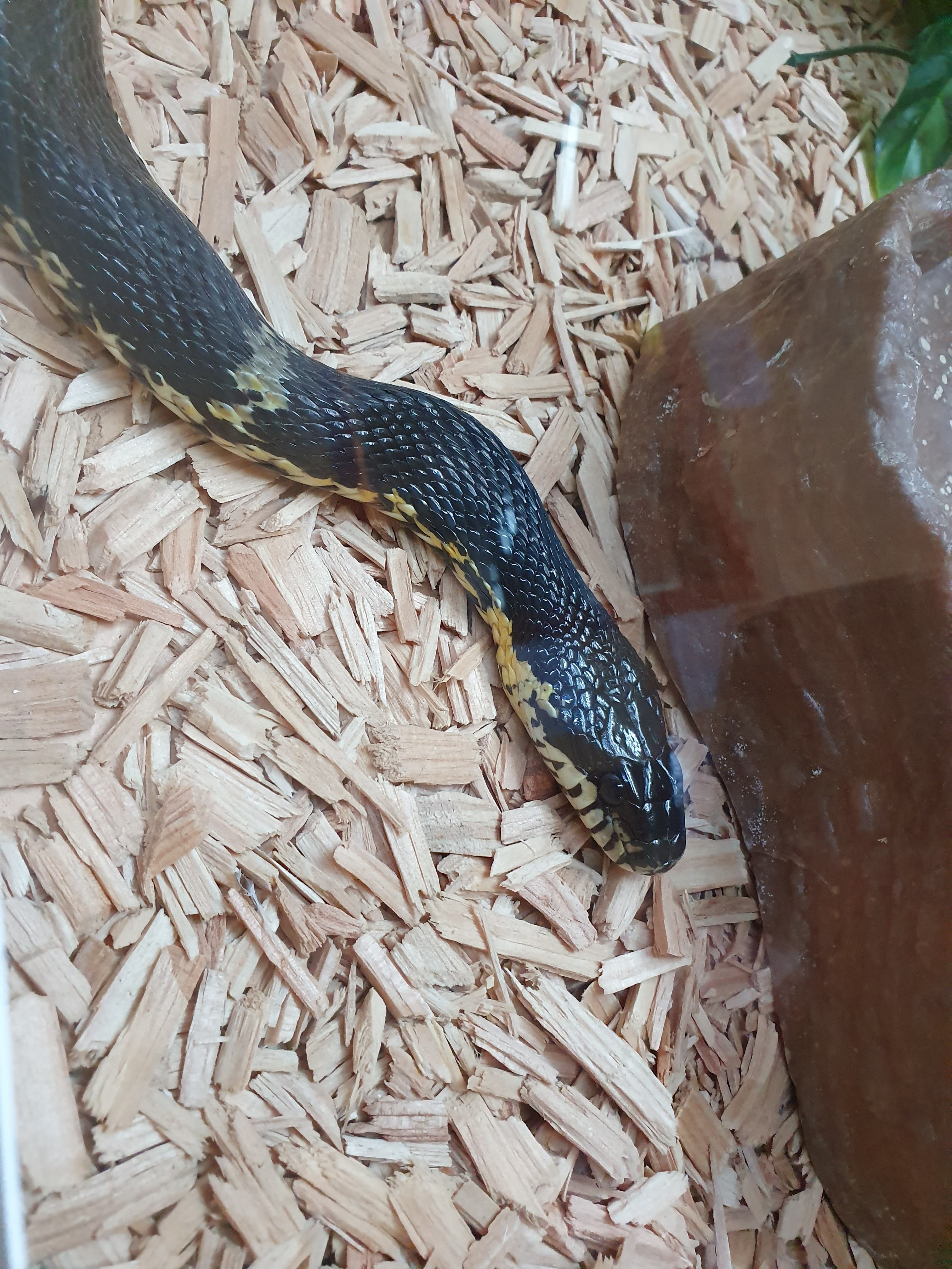 Photo n° 7 de l'avis de Laetitia.o fait le 20/10/2019 à 17:56