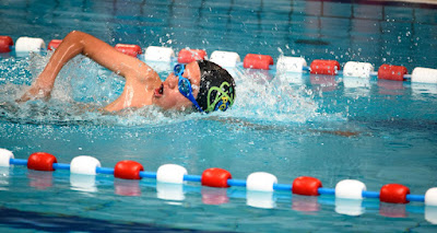 Pays de Gex Natation à Ferney-Voltaire