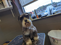 Muttz Kuttz Grooming - Photo 3 - Car repair in Clarksville, TN, Clarksville