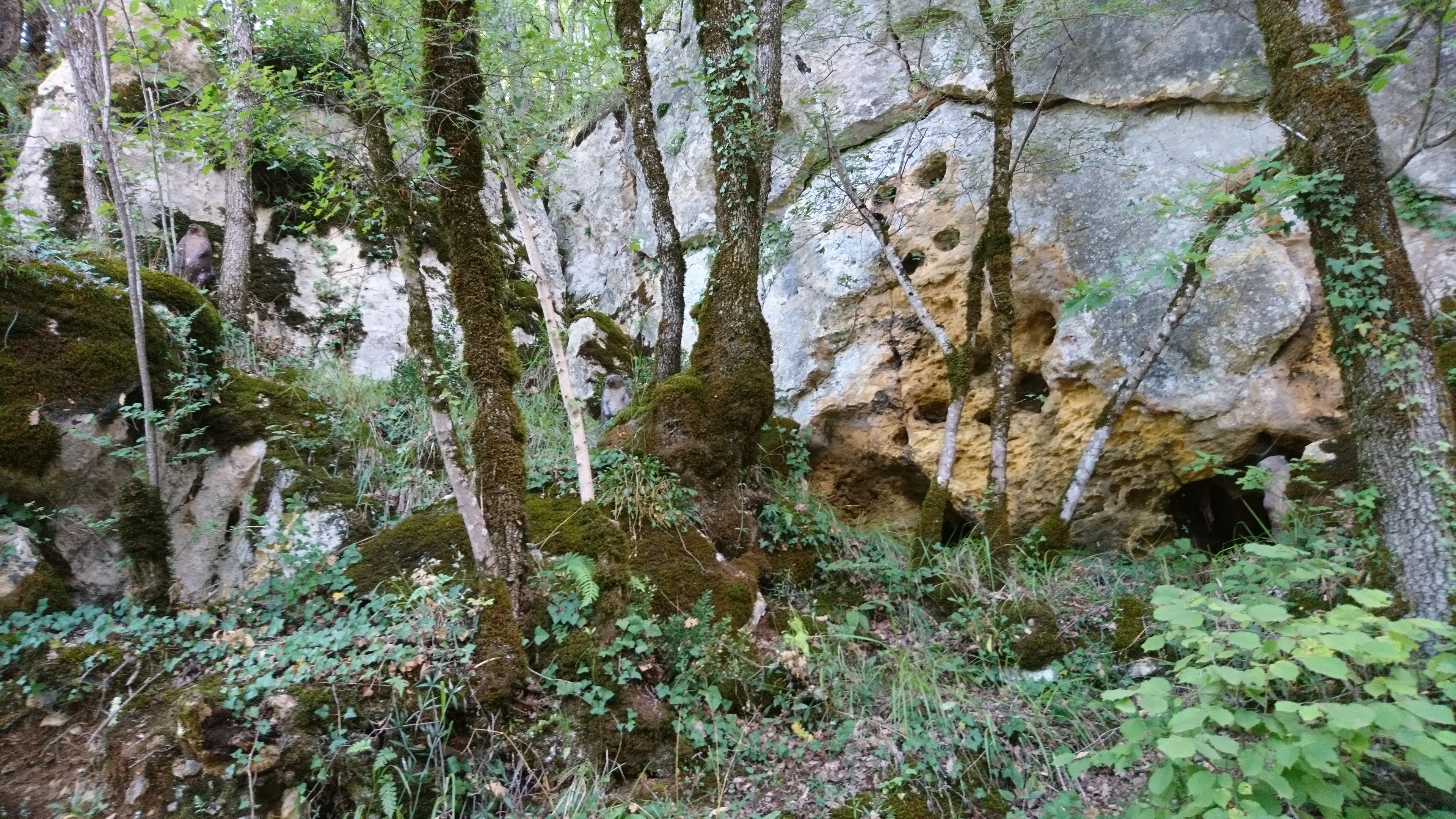 Photo n° 3 de l'avis de Karine.a fait le 28/08/2018 à 09:58