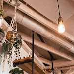 Photo n°3 de l'avis de Nadine.i fait le 31/08/2022 à 07:35 sur le  Botanista Café Club à Munich