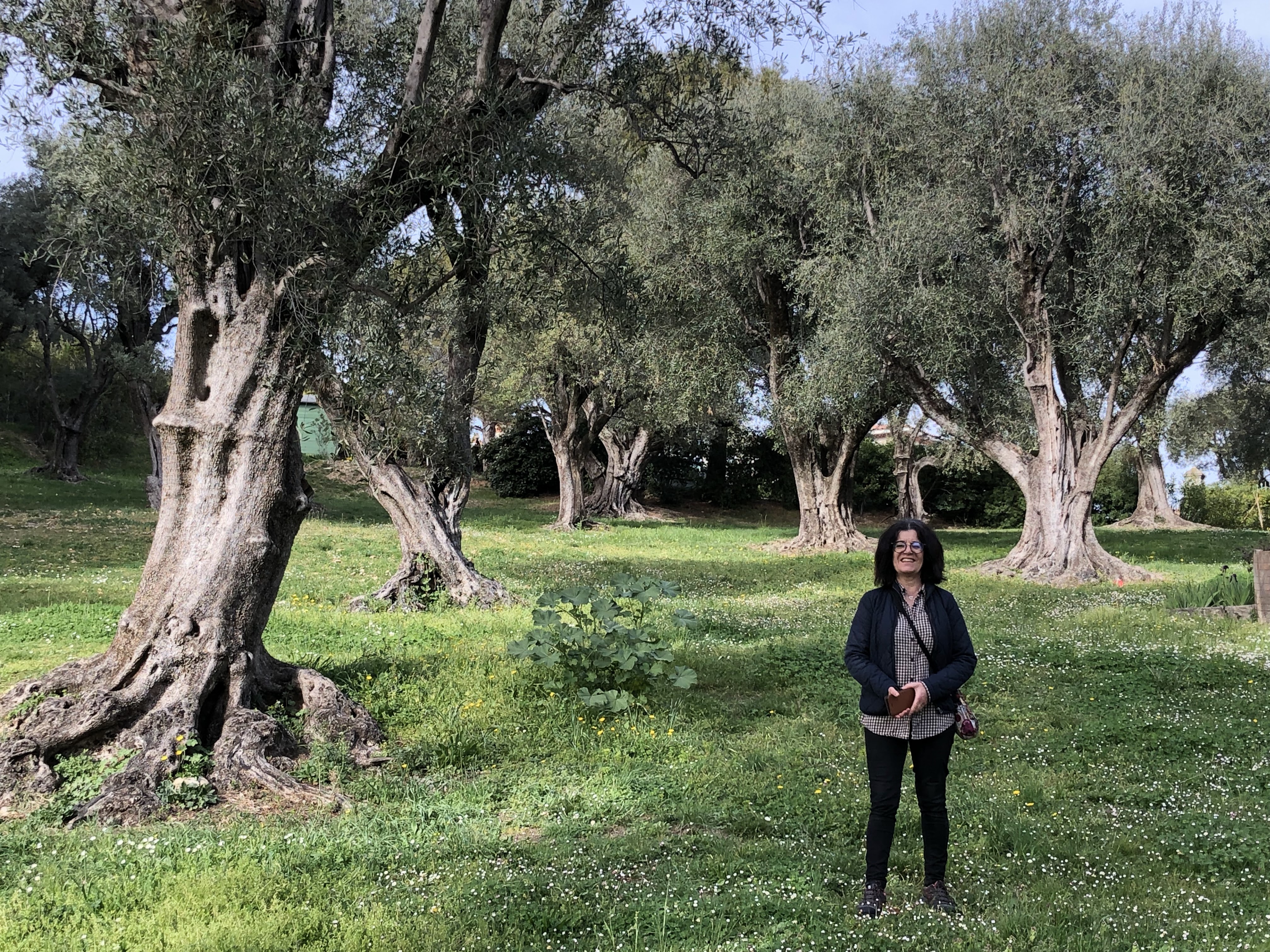 Photo n° 3 de l'avis de Denis.u fait le 25/04/2019 à 10:20